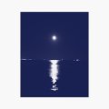 Manuel Mota & David Grubbs "na margem sul" [CD]
