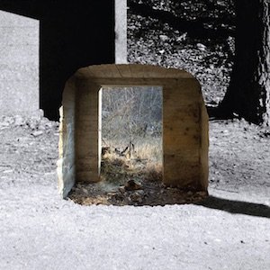 画像1: Clara de Asis / Ryoko Akama "sisbiosis" [CD]