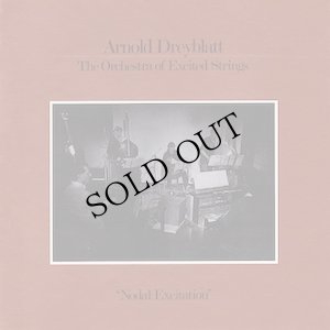 画像1: Arnold Dreyblatt, The Orchestra Of Excited Strings "Nodal Excitation" [LP]