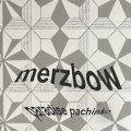 Merzbow "Paradise Pachinko" [CD]