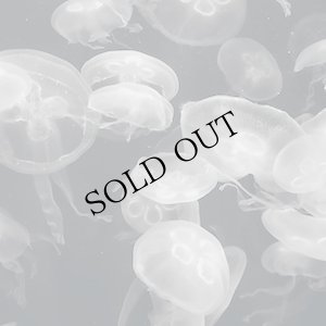 画像1: Brad E. Rose "Annular Silhouettes" [CD + Booklet]