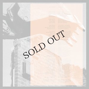 画像2: Jocelyn Pook "Blight" [LP]