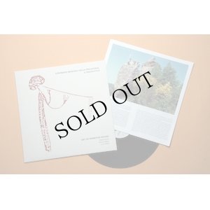 画像1: Art Of Primitive Sound (W. Maioli, P. Meyer, L. Maioli) "Strumenti Musicali Della Preistoria: Il Paleolitico" [LP]