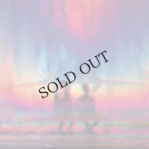 画像1: Le Verdouble [LP]