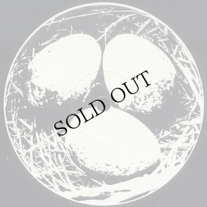 画像2: Dean McPhee / Mary Arches "Devon Folklore Tapes Volume V: Ornithology" [2 x 10" + Booklet]