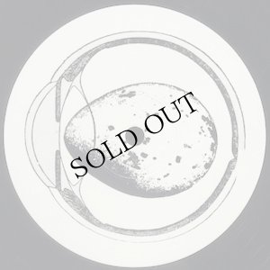 画像3: Dean McPhee / Mary Arches "Devon Folklore Tapes Volume V: Ornithology" [2 x 10" + Booklet]