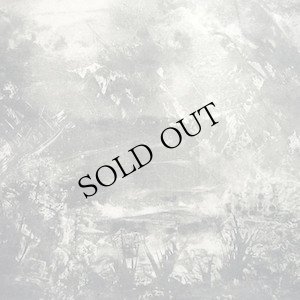 画像1: Timo van Luijk & Kris Vanderstraeten "Autour du Lac d'Asselt" [LP]