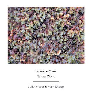 画像1: Laurence Crane "Natural World" [CD]