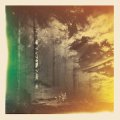 Deli Kuvveti "In the Summer Dusk" [CD]