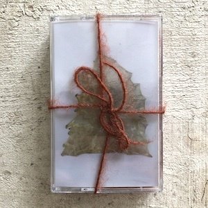 画像1: Garino Luca "MALARIA pop SOLO" [Cassette]