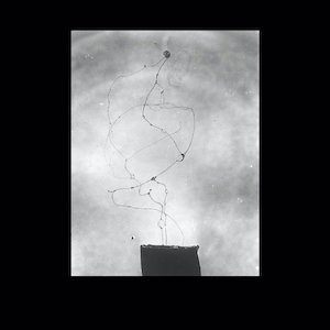 画像2: Vasco Trilla "A Constellation of Anomaly" [CD]