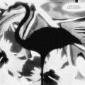 Mike Cooper "Black Flamingo" [CD]