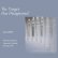 画像1: Lizzy Welsh "The Target Has Disappeared" [CD] (1)