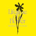 Eiko Ishibashi / Jim O'Rourke "Lifetime of a Flower" [LP]