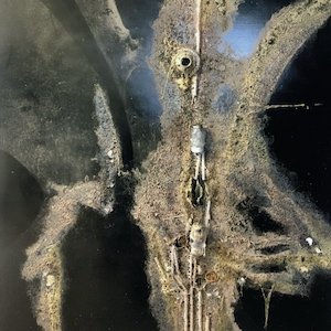 画像5: Michael Allen Z Prime "Bioelectrical Music" [3CD + 44 page booklet Box]