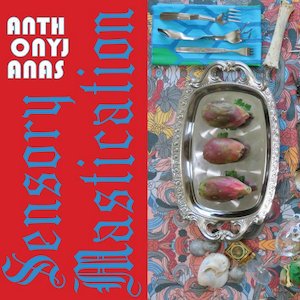 画像3: Anthony Janas "Sensory Mastication" [Picture LP]