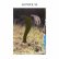 画像1: Graham Lambkin / James Rushford "Gondolas" [2CD] (1)