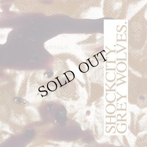 画像1: Shockcity, Grey Wolves "Blood & Sand" [CD]