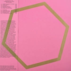 画像1: Walter Maioli "Il Suono Delle Api / La Vibrazione Del Cosmo [Gold label LP]