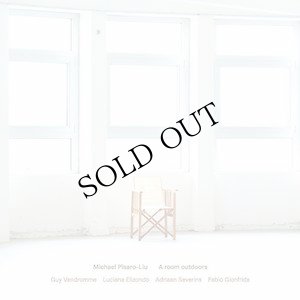 画像1: Michael Pisaro-Liu (Guy Vandromme / Luciana Elizondo / Adriaan Severins / Fabio Gionfrida) "A room outdoors" [2CD]