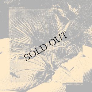 画像1: Moineau Ecarlate "Avaler des couleuvres" [LP]