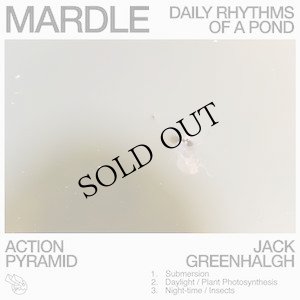 画像1: Action Pyramid & Jack Greenhalgh "Mardle: Daily Rhythms of a Pond" [CD + Poster]
