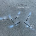 Pamela Z "A Secret Code" [CD]