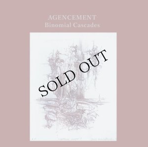 画像1: Agencement "Binomial Cascades" [LP]