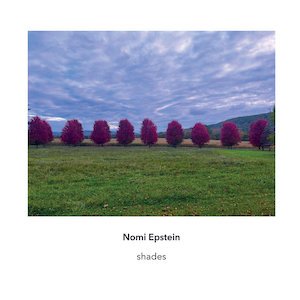 画像1: Nomi Epstein "shades" [CD]