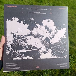 画像2: Stargaze Inferno "Hayman Island Sessions" [LP]