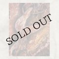 COIL "Swanyard" [2CD]