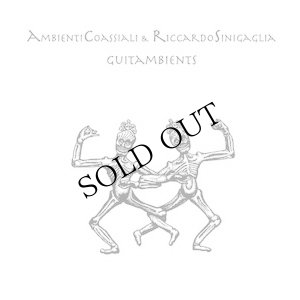 画像1: Ambienti Coassiali, Riccardo Sinigaglia "Guitambients" [LP]