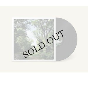 画像1: Coen Oscar Polack "Haarlemmerhout" [LP]