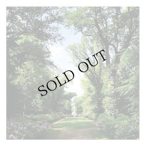 画像2: Coen Oscar Polack "Haarlemmerhout" [LP]