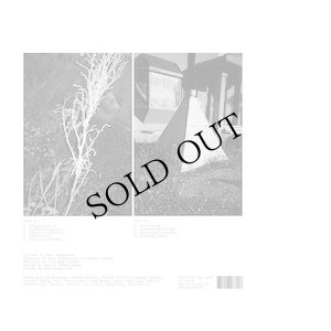 画像2: Mark Templeton "Two Verses" [LP]