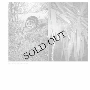 画像1: Mark Templeton "Two Verses" [LP]