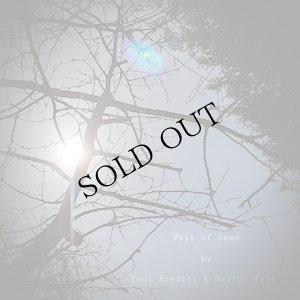 画像1: Paul Bradley & Darren Tate "Veil of Dawn" [Art edition : Art work + CD-R]