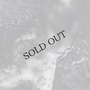 画像1: Eloine "Moldy Cushions" [CD]