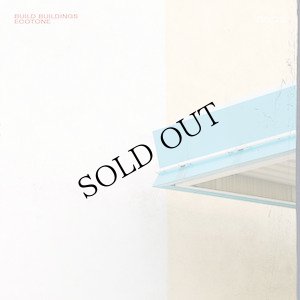 画像3: Build Buildings "Ecotone" [Red LP]