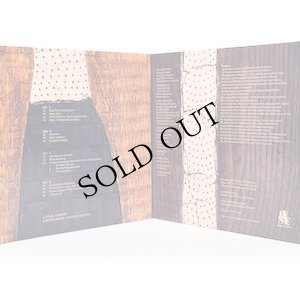 画像2: Roberto Musci, Giovanni Venosta "A Noise, A Sound" [2LP]