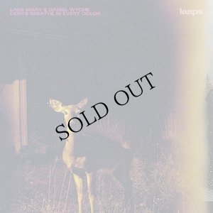 画像1: Lake Mary & Daniel Wyche "Deer's Breathe In Every Color" [CD]