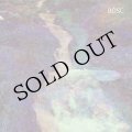Bosc [LP]