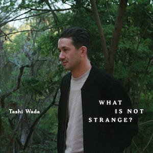 画像1: Tashi Wada "What Is Not Strange?" [2LP]
