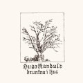 Hugo Randulv "Drunkna I Ljus" [LP]