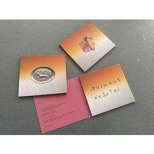 画像2: Anne Gillis + XT "AnimauX veGeTal" [2CD]