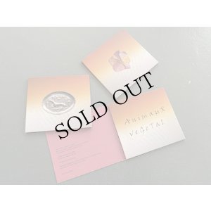 画像2: Anne Gillis + XT "AnimauX veGeTal" [2CD]