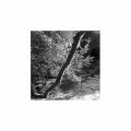 Maurizio Abate & Luca Venitucci "Peace and Pleasure" [LP]