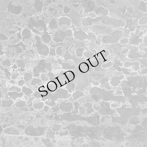 画像1: Jeph Jerman "black mesa" [CD]