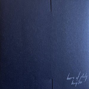 画像2: Little Skull [7" + handmade & written fold-over sleeve]