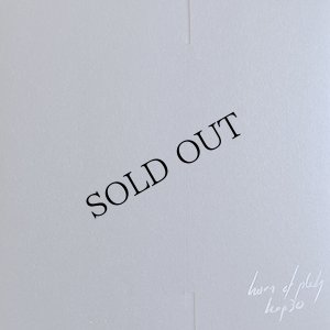 画像2: Little Skull [7" + handmade & written fold-over sleeve]